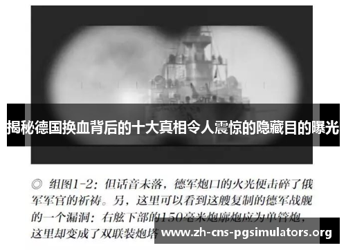 揭秘德国换血背后的十大真相令人震惊的隐藏目的曝光